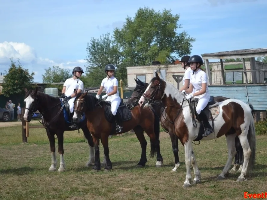Частная конюшня Bruns Horses: «Мы находимся в центре города, но в лесопарковой зоне, и у нас невысокие цены по сравнению с другими конюшнями»»
