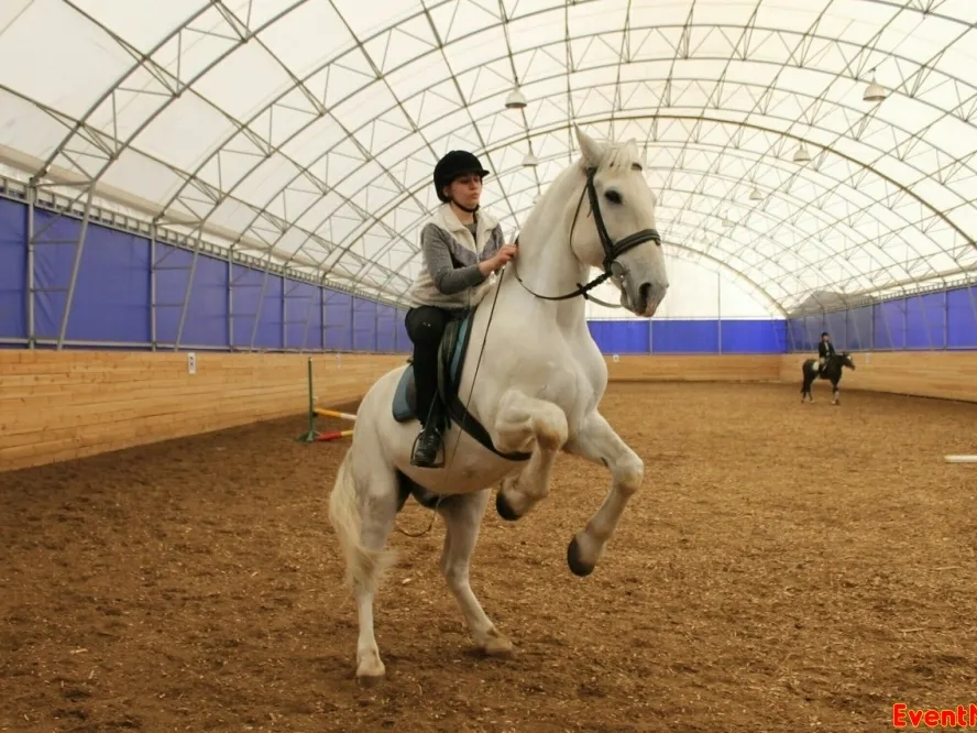 Конный клуб «Спортивная Деревня Новинки»: «Наш клуб предлагает только индивидуальные занятия по верховой езде»