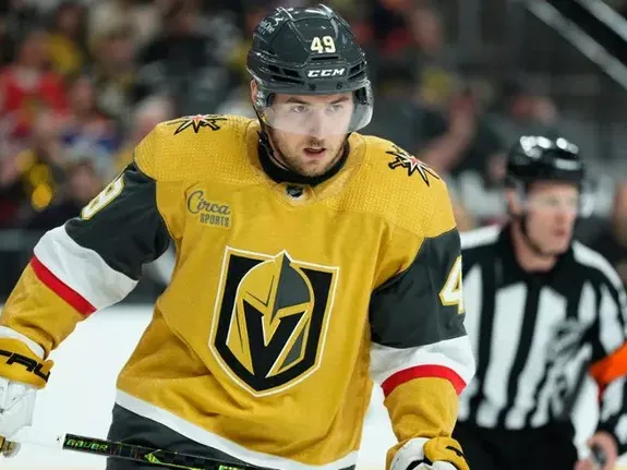 Гол Барбашева не спас "Вегас"ддддд