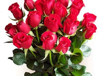 Поздравления с днем рождения девушке, женщине