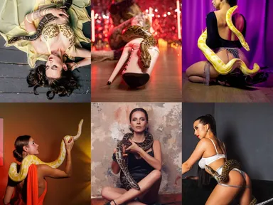 Шоу-номер со змеями: четыре тигровых питона и один императорский удав