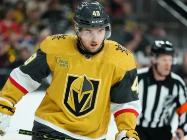 Гол Барбашева не спас "Вегас"ддддд