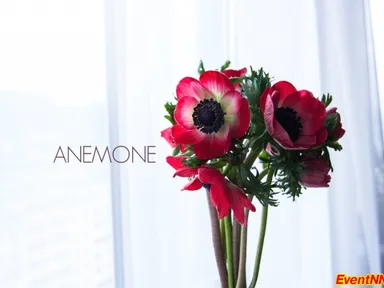 Изображение 12