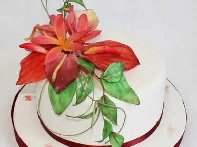 Изображение 2