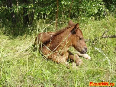 Изображение 8