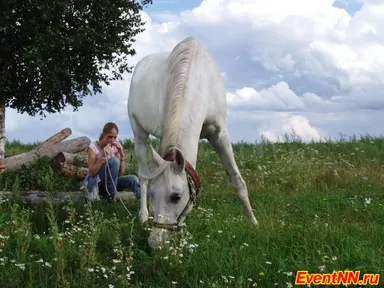 Изображение 8