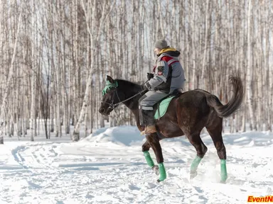 Изображение 33