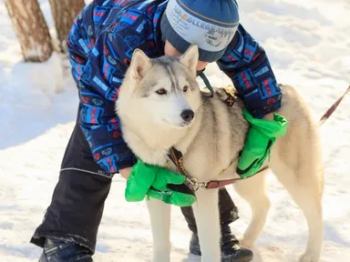 Изображение 8