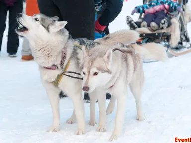 Изображение 10