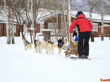 Изображение 4