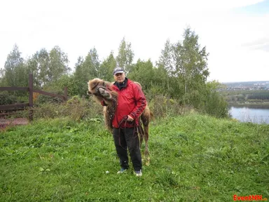 Изображение 10