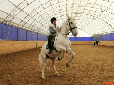 Изображение 5