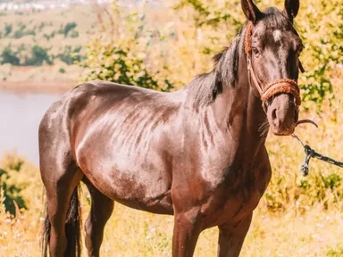 Изображение 9