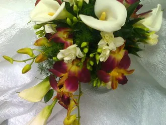 Изображение 33