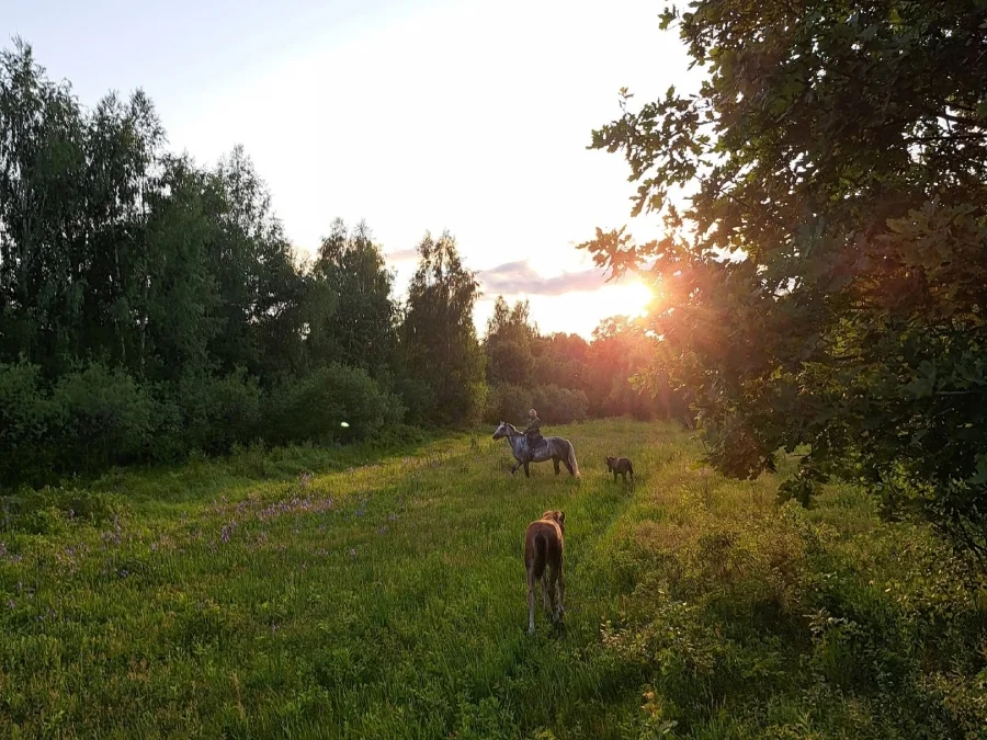 конный клуб Серая Лошадь, отдых в конном клубе, конный туризм, конные маршруты, костюмированные прогулки на лошадях