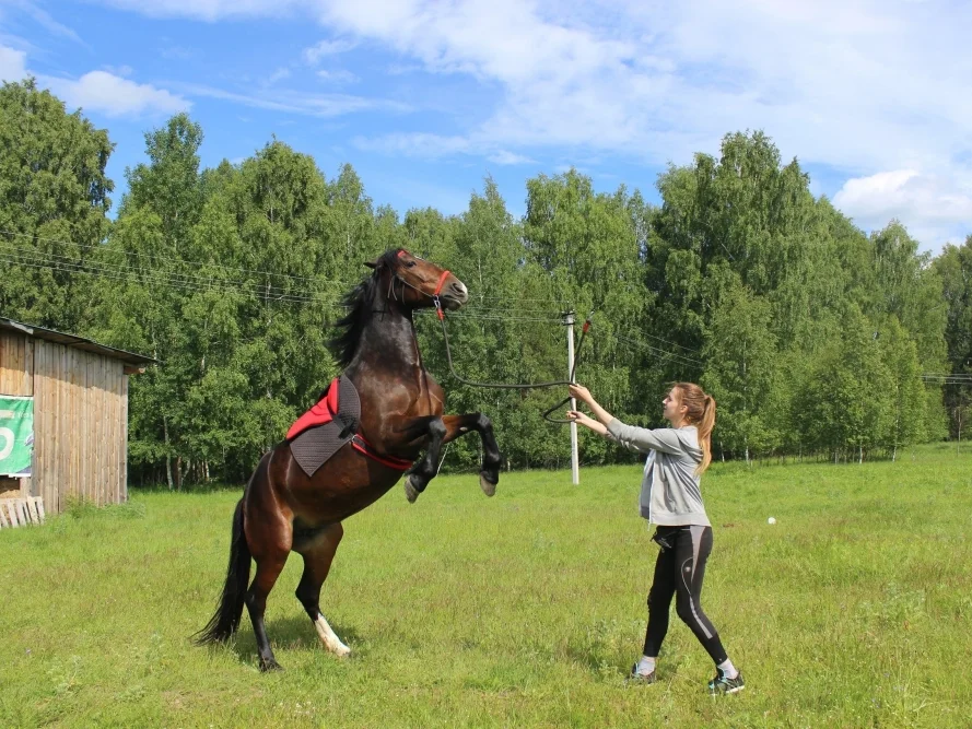 конный клуб Конемания,конный клуб, конный туризм,свадьба,выпускной корпоратив в конном клубе