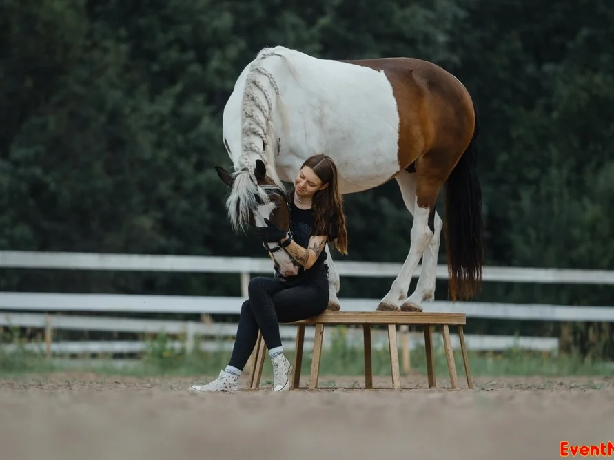 центр реабилитации лошадей Кантри, конный клуб Кантри