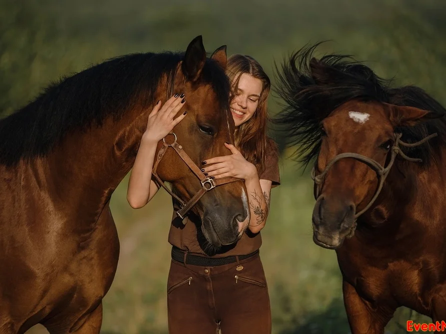 центр реабилитации лошадей Кантри, конный клуб Кантри