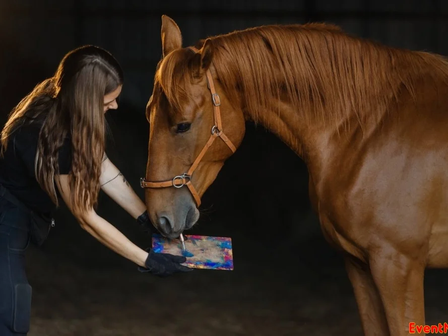 центр реабилитации лошадей Кантри, конный клуб Кантри