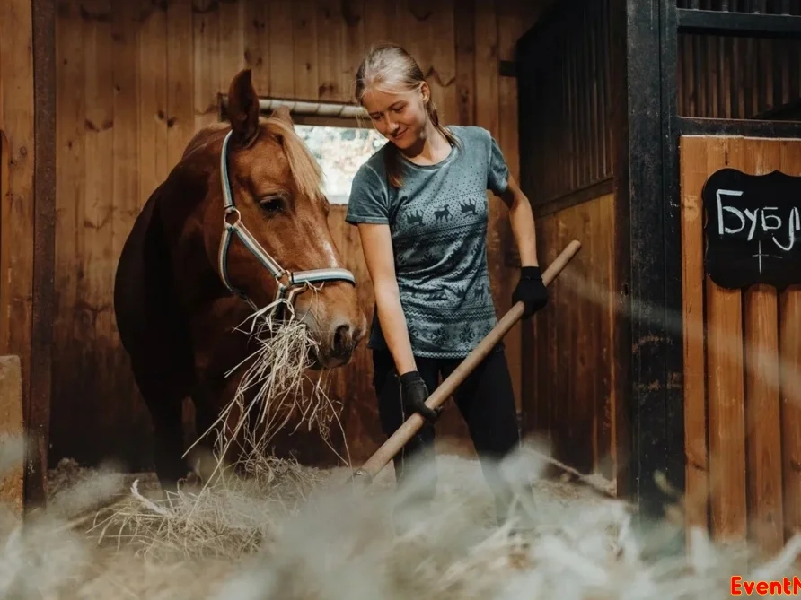 центр реабилитации лошадей Кантри, конный клуб Кантри