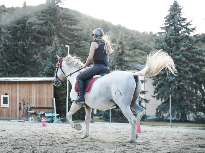 День матери 2019: как поздравить и что подарить?