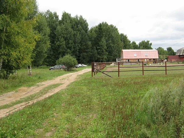 конный клуб Конемания,конный клуб, конный туризм,свадьба,выпускной корпоратив в конном клубе